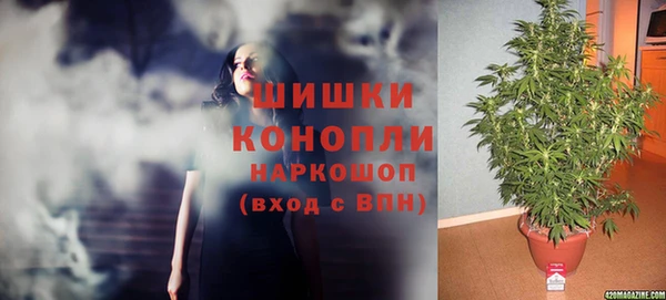 МДПВ Богородск