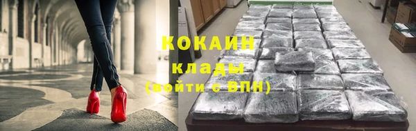 МДПВ Богородск