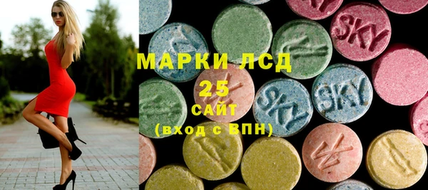 крисы Сатка