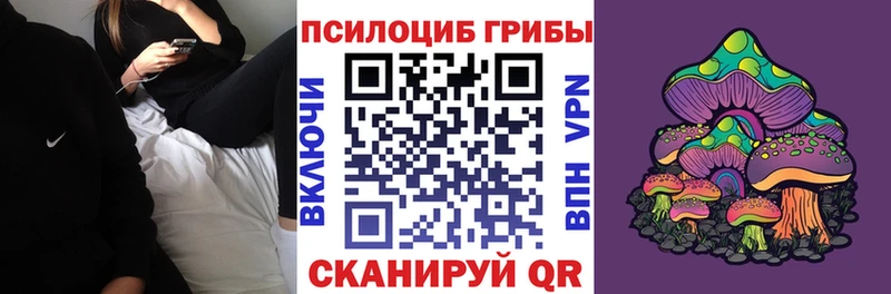 Псилоцибиновые грибы ЛСД  цена   Рудня 